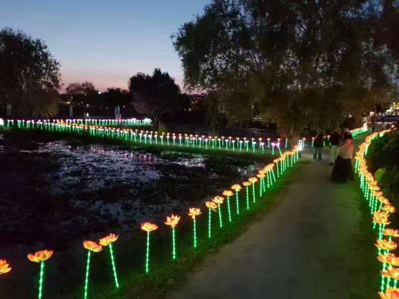 牡丹花工程案例