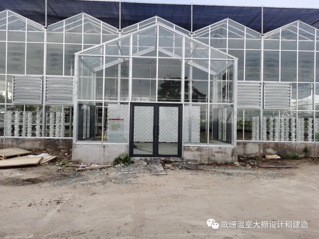 【歌珊温室】广东佛山市连栋全玻璃温室工程