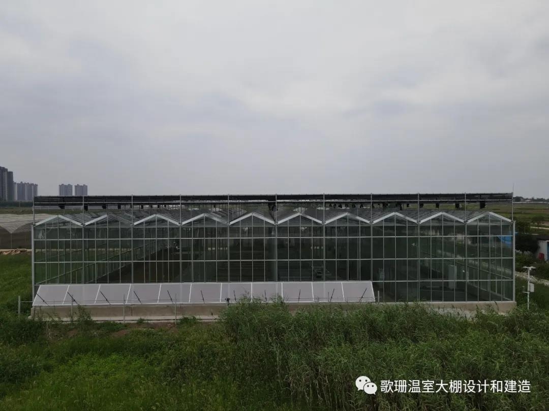 【歌珊温室】湖北省鄂州市连栋全玻璃温室大