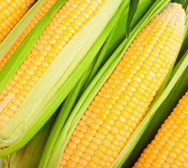 玉米冻的是生的还是熟的?