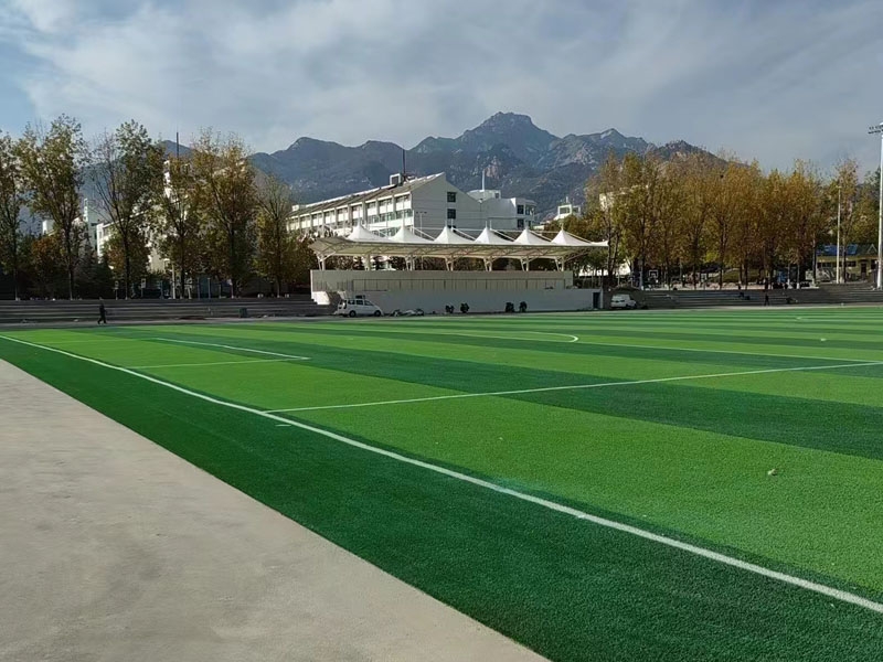 泰山职业技术学院足球场人造草项目