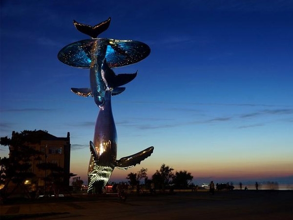 鲸鱼之影：不锈钢镜面雕塑的新风尚