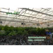 安徽花卉市场型温室