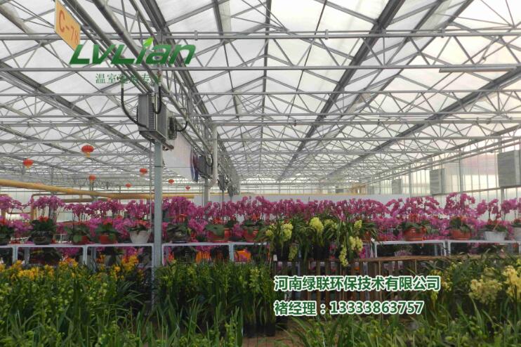 郑州花卉市场温室建造