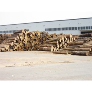 唐山木材加工厂