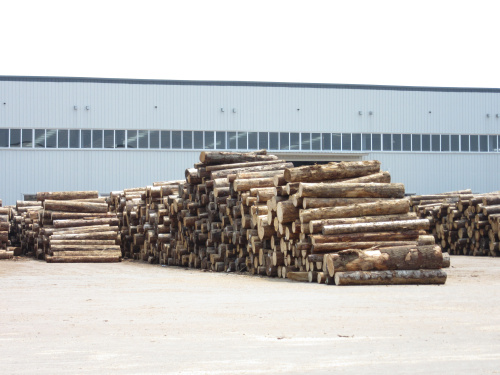 建筑木材加工厂
