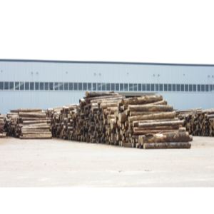 建筑木材加工厂