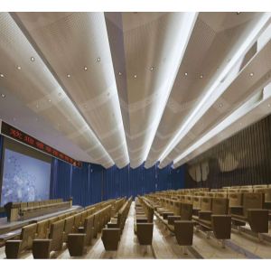 弧形穿孔吸声铝板会议大厅艺术中心吊顶铝板设计案例精准分析