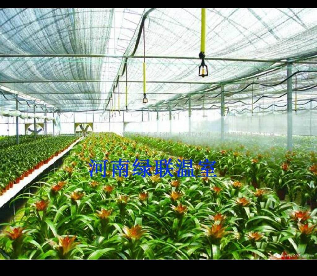 河南温室型花卉市场